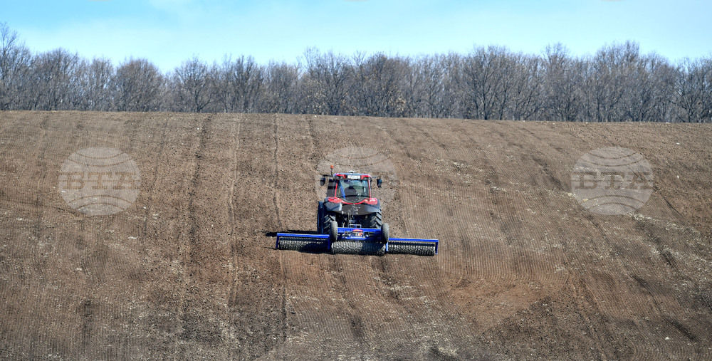 Село Божурово - работа на полето
