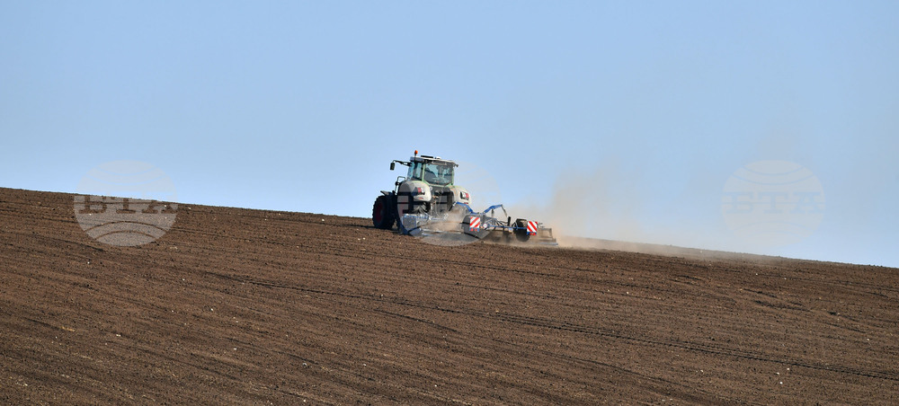 Село Божурово - работа на полето