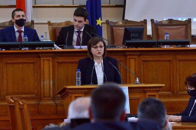 Корнелия Нинова от парламента: Държавата ще добива дърва и ще ги продава без надценка