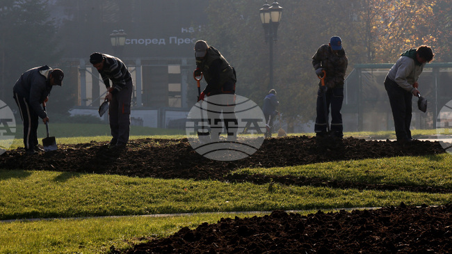 Q3 GDP Per Capita Up by 0.7% Y/Y