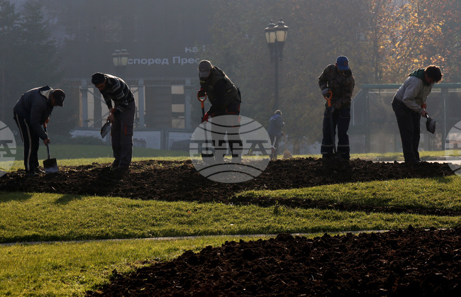 Q3 GDP Per Capita Up by 0.7% Y/Y