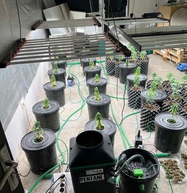 МВР: Осем килограма наркотици и над половин милион лева иззеха при спецакция криминалисти от СДВР