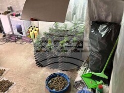 Снимка: МВР