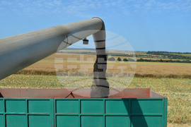 Село Голям извор - жътва на рапица