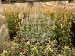 Снимка: МВР