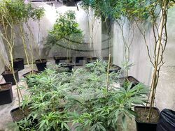 Снимка: МВР