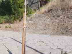 На кого пречат? Благоевград осъмна с 13 умишлено прекършени млади дръвчета, обърнати паркови кошчета и счупени пейки