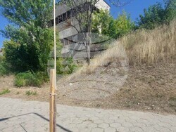 На кого пречат? Благоевград осъмна с 13 умишлено прекършени млади дръвчета, обърнати паркови кошчета и счупени пейки