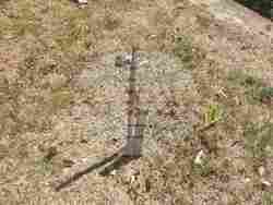 На кого пречат? Благоевград осъмна с 13 умишлено прекършени млади дръвчета, обърнати паркови кошчета и счупени пейки