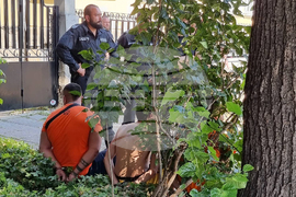 Футболни фенове - арест    