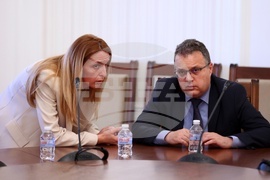 Парламент - Комисия по външна политика - заседание