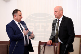 Парламент - Комисия по външна политика - заседание