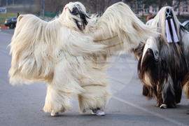 Средец - кукерски игри