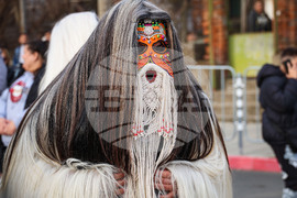 Средец - кукерски игри