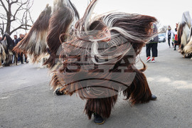 Средец - кукерски игри