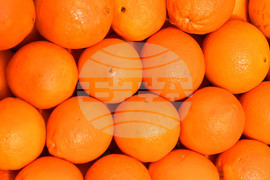 Село Подайва - пазарен ден