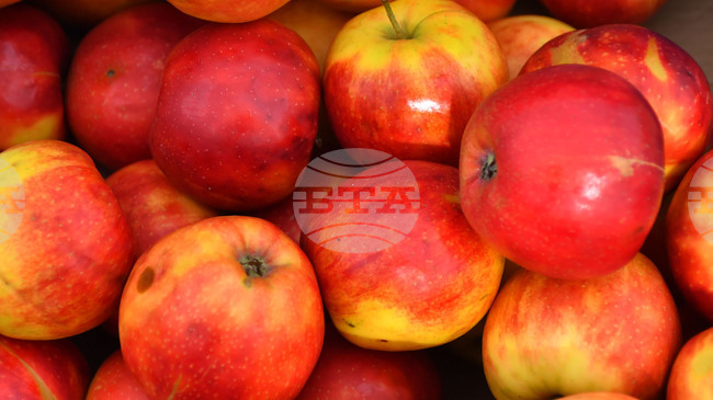 Приемът на документи по интервенциите за обвързано подпомагане за плодове и зеленчуци започва на 15 януари 2026 г., съобщиха от ДФЗ