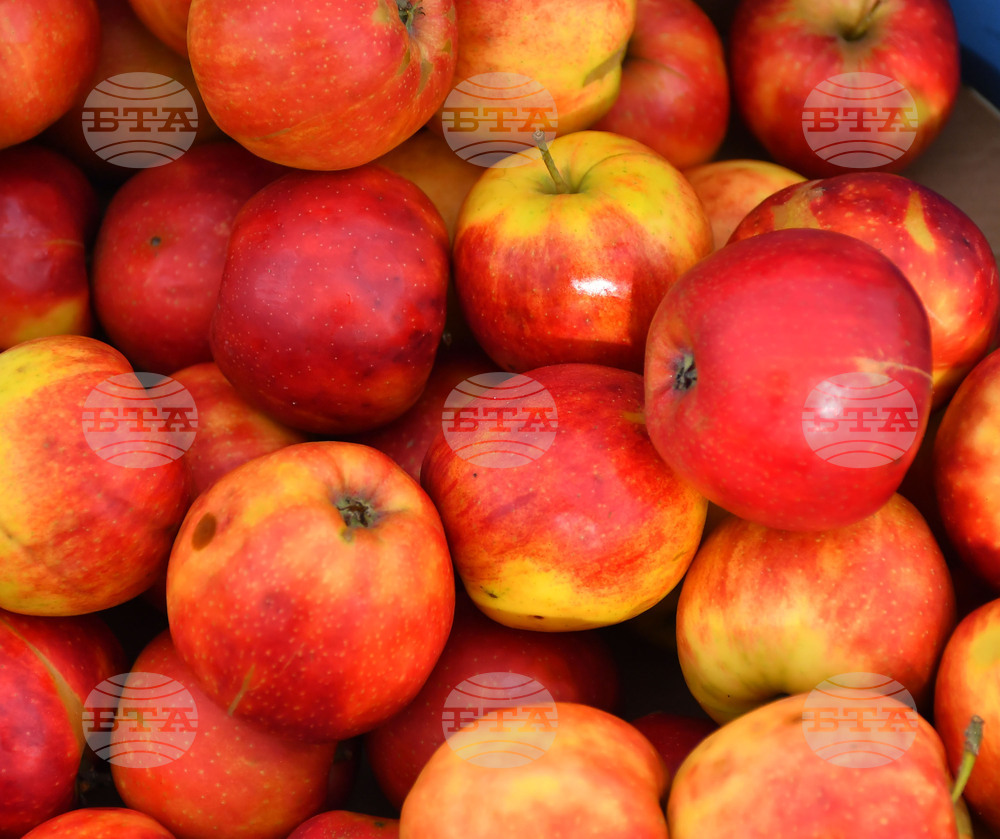 Държавен фонд "Земеделие" одобри заявителите по схемите "Училищен плод" и "Училищно мляко" за новата учебна година