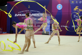 Официално контролно на националния отбор по художествена гимнастика