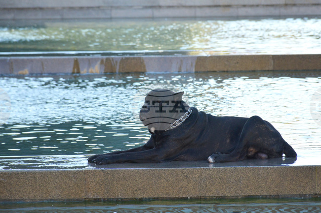 The Weather on June 16