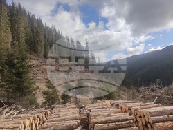 Снимка: Южноцентрално държавно предприятие – Смолян 