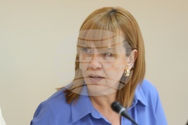 Иванка Шалапатова - Козмин Боянджиу - кръгла маса