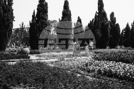 Балчик - "Двореца" - Ботаническа градина