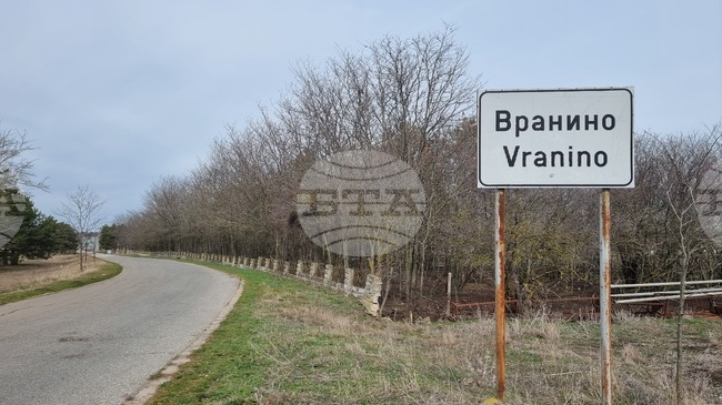 Пожар е унищожил запасите от храна за животните в кравеферма в каварненското село Вранино