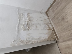 Снимка: Спаси София