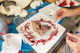 Самоков - Професионална гимназия по туризъм - кулинарно състезание