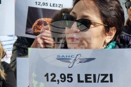 Румъния - членове на профсъюзите на летищата - протест