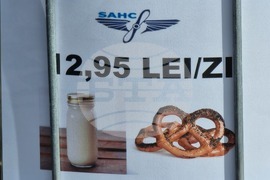 Румъния - членове на профсъюзите на летищата - протест