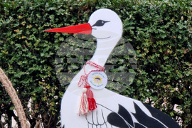 Добрич - украса - детски ясли