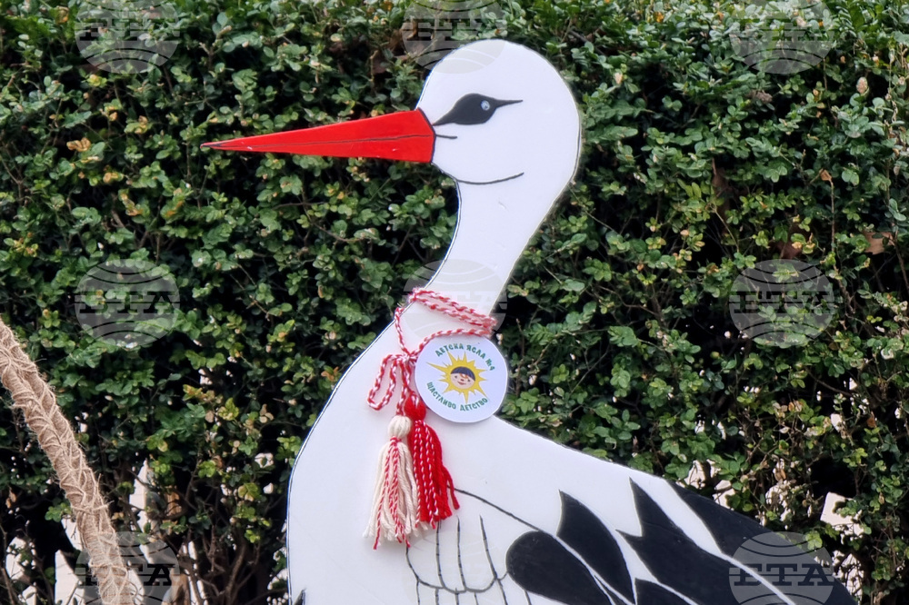 Добрич - украса - детски ясли