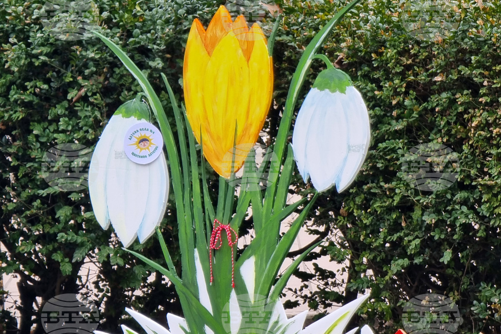 Добрич - украса - детски ясли