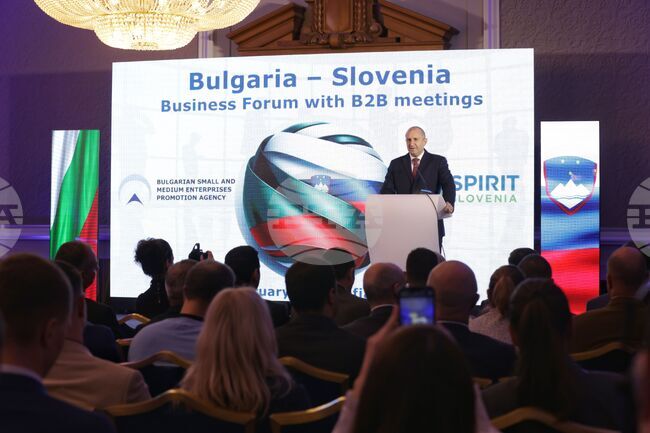 Българо-словенски бизнес форум