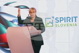 Българо-словенски бизнес форум