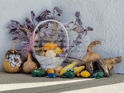 Село Панаретовци - зима - проект „България в четири сезона“