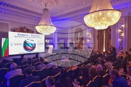 Българо-словенски бизнес форум