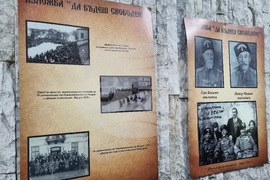 Търговище - съвместна изложба - откриване