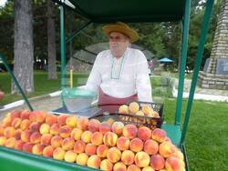 с.Гавраилово, "Златна праскова", снимка:Велина Василева, архив