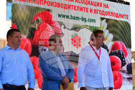 Лозница - фестивал на малината