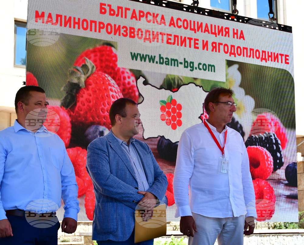 Лозница - фестивал на малината