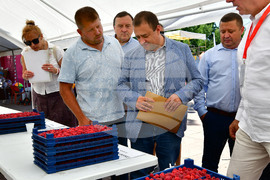 Лозница - фестивал на малината