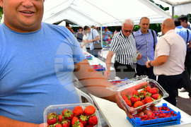 Лозница - фестивал на малината