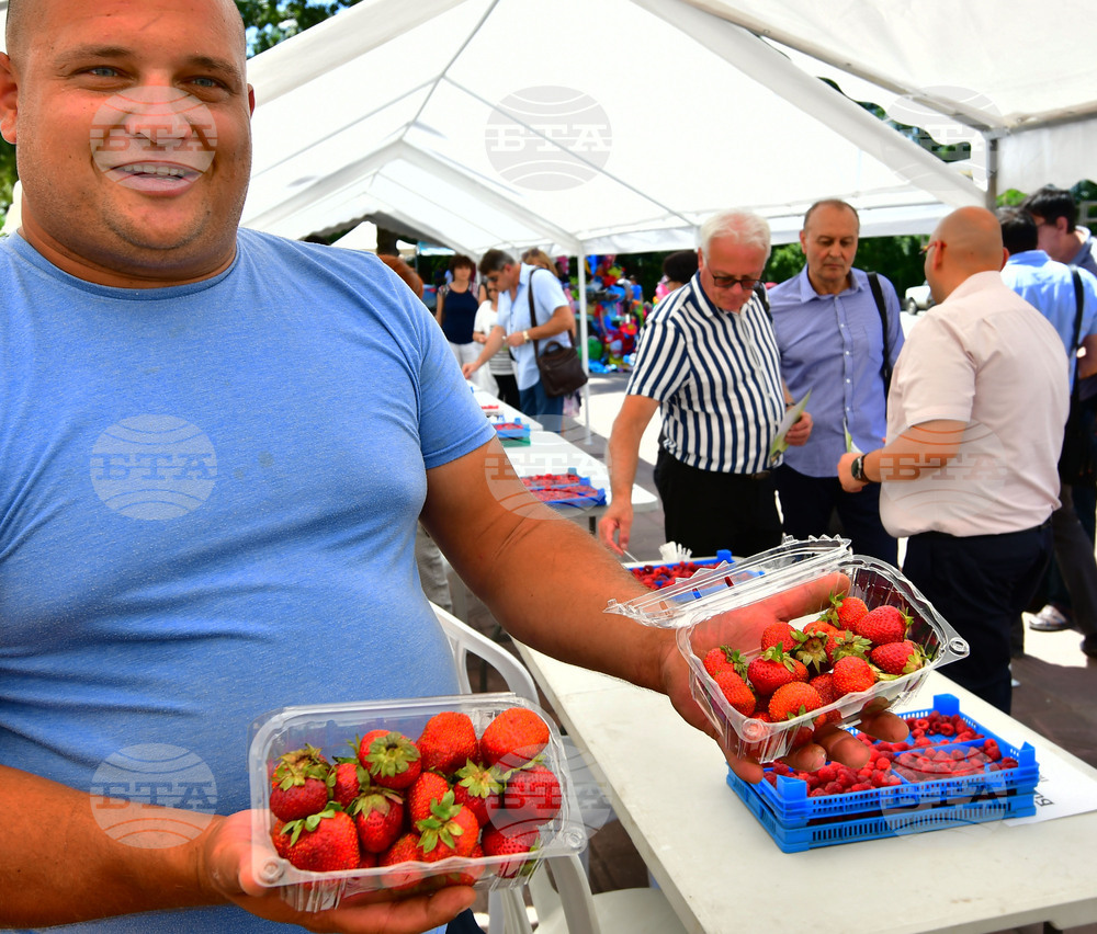 Лозница - фестивал на малината
