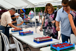 Лозница - фестивал на малината