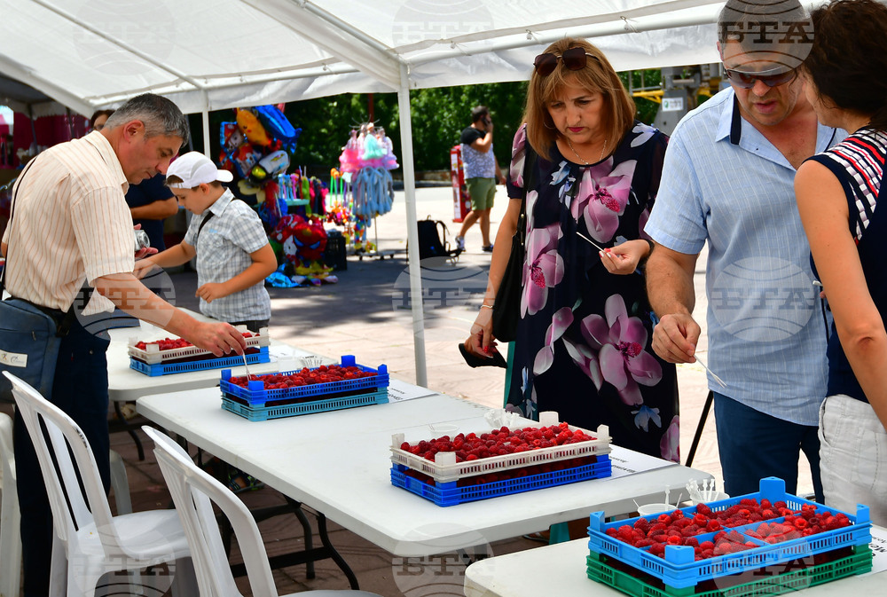 Лозница - фестивал на малината