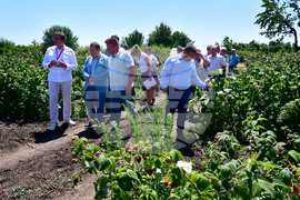 Лозница - фестивал на малината