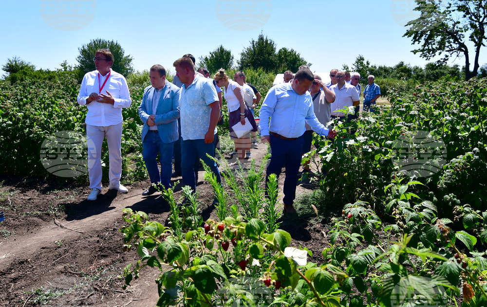 Лозница - фестивал на малината